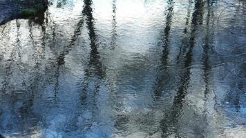 The reflection view from the water pool surface after the raining photo