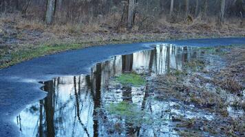 The reflection view from the water pool surface after the raining photo