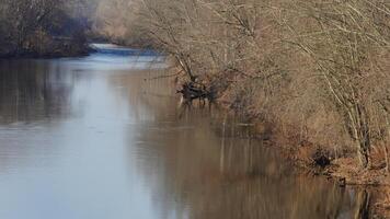The forest landscape with one river running in the valley in winter photo