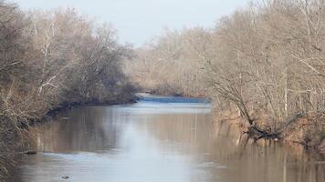 The forest landscape with one river running in the valley in winter photo