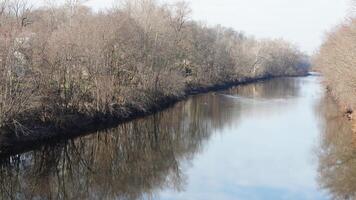 The forest landscape with one river running in the valley in winter photo