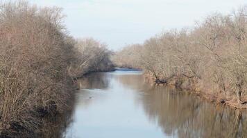 The forest landscape with one river running in the valley in winter photo