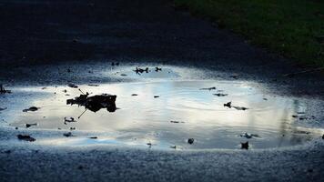 The reflection view from the water pool surface after the raining photo