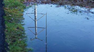 The reflection view from the water pool surface after the raining photo