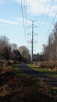 The forest view with the narrow country road across them in winter photo