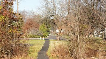 The forest view with the narrow country road across them in winter photo