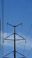 The electric wire cross the forest in the lines photo