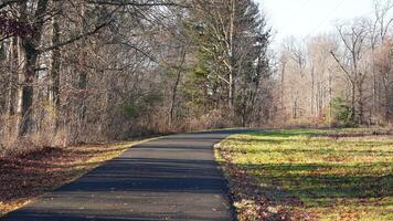 The forest view with the narrow country road across them in winter photo