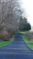 The forest view with the narrow country road across them in winter photo