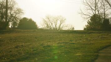 The forest view with the narrow country road across them in winter photo