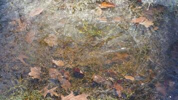 The water surface was frozen into the ice in winter photo