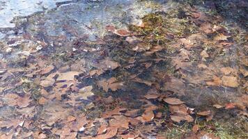 The water surface was frozen into the ice in winter photo