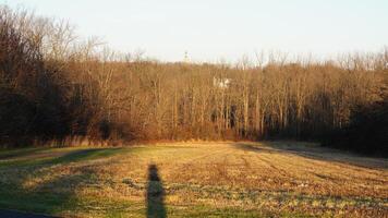 The forest landscape with the sunset sunlight on them in winter photo