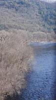 The forest landscape with one river running in the valley in winter photo