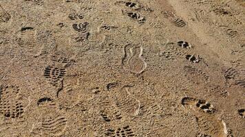 Several footprints on the wet sand land after the raining photo