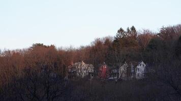 The forest landscape with the sunset sunlight on them in winter photo