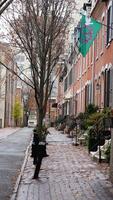 The street view with the christmas decoration along the doors and windows during the christmas days photo