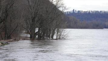 The Delaware river is flood after several raining days in winter photo