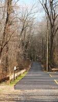 The forest view with the narrow country road across them in winter photo