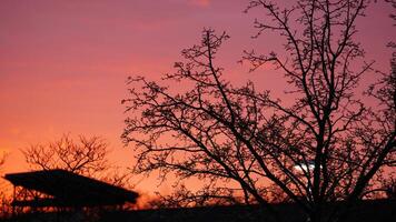 The beautiful sunset sky view with the colorful clouds as background photo