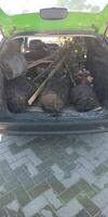 The Car Trunk is Fully Loaded with a Variety of Different Garden Supplies and Tools photo