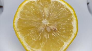 Bright and Freshly Cut Half of a Lemon, Complete with Seeds and Succulent Ripe Flesh Inside photo