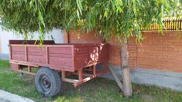 Rustic Red Wagon Positioned Beautifully Under a Large, Shady Tree in the Backyard photo