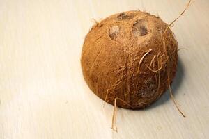 Natural Coconut with its Husk and Hard Shell is used in various ways that benefit our lives photo