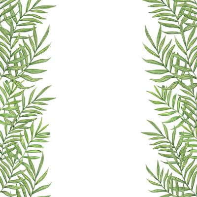 Green dypsis, areca palm or Cycas leaves vertical border with empty space for text. Tropical tree leaf floral summertime illustration. Frame for greeting card, wedding invitation
