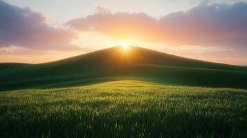 Lush green grass-covered hill bathed in warm sunlight under a vibrant sky photo