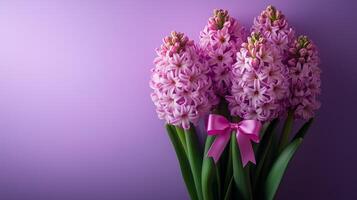 Spring hyacinth flowers with pink bow on purple gradient background photo