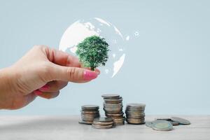 Hand putting coins on a stack with plant growing on the money. Ecology and Environment concept photo
