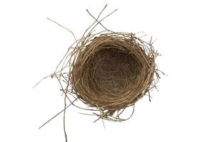 Empty bird nest isolated on white background. Top view. Clipping path photo
