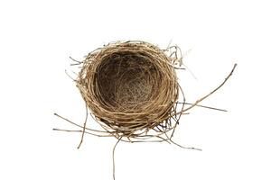 Top view of empty bird nest isolated on white background. Clipping path photo