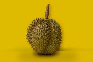 a durian fruit is shown on a yellow background photo
