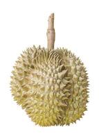 a durian fruit is shown on a white background photo