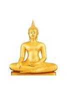 golden buddha statue on white background photo