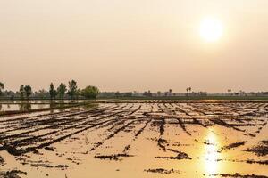 a field with water and a sunset in the background photo