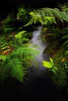 a stream running through a lush green forest photo