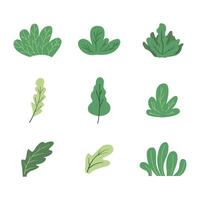 Set of Bush and leave. Plant and tree in flat illustration style. vector
