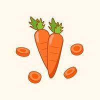 Carrot Cartoon Illustration. Whole and Slice Carrot vector