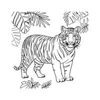 a coloring page with a tiger in the jungle vector