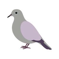 Flat illustration of a stylized mourning dove with gray body, lavender wings, and long tail, minimalistic design, plain white background vector