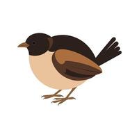Flat illustration of a stylized bulbul with brown body, short curved beak, and medium tail, minimalistic design, plain white background vector