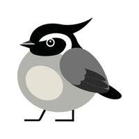 Flat Illustration of BlackCapped Chickadee with Black Cap and Clean Lines vector