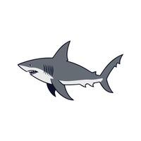 Flat illustration of a shark with long streamlined body, sharp fins, curved shape, minimalistic design, clean background vector