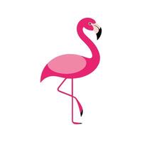 Flat Illustration of Flamingo with Bright Pink Body and Clean Lines vector