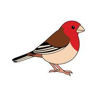 Flat illustration of a stylized common finch with red-brown body, short beak, and smooth wings, minimalistic design, plain white background vector
