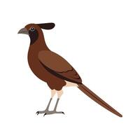 Flat illustration of a stylized Andaman coucal with brown body, long tail, and curved beak, minimalistic design, plain white background vector
