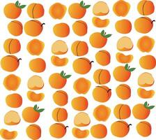 A bunch of peaches are arranged in a pattern vector